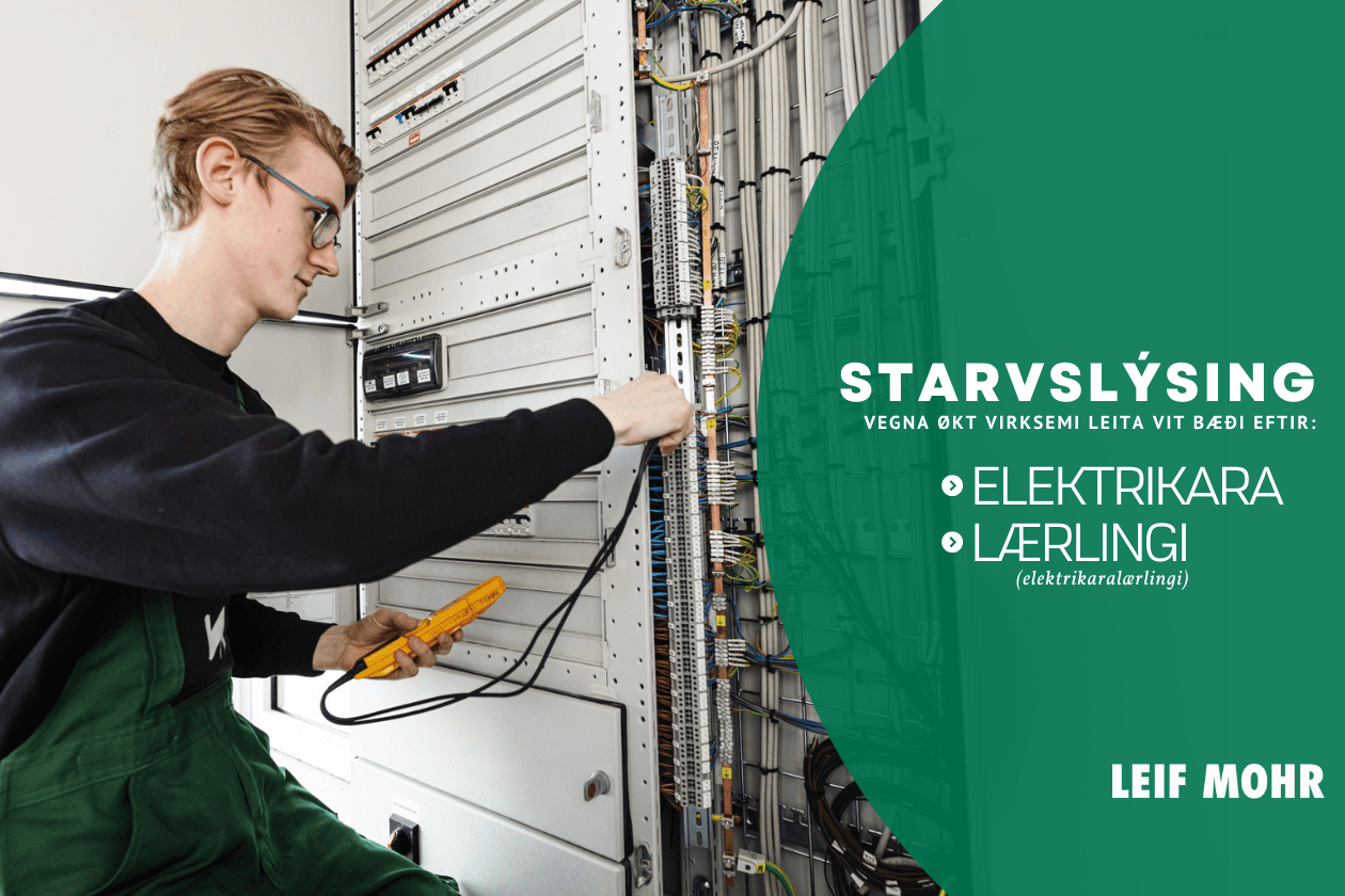 Elektrikari og lærlingur